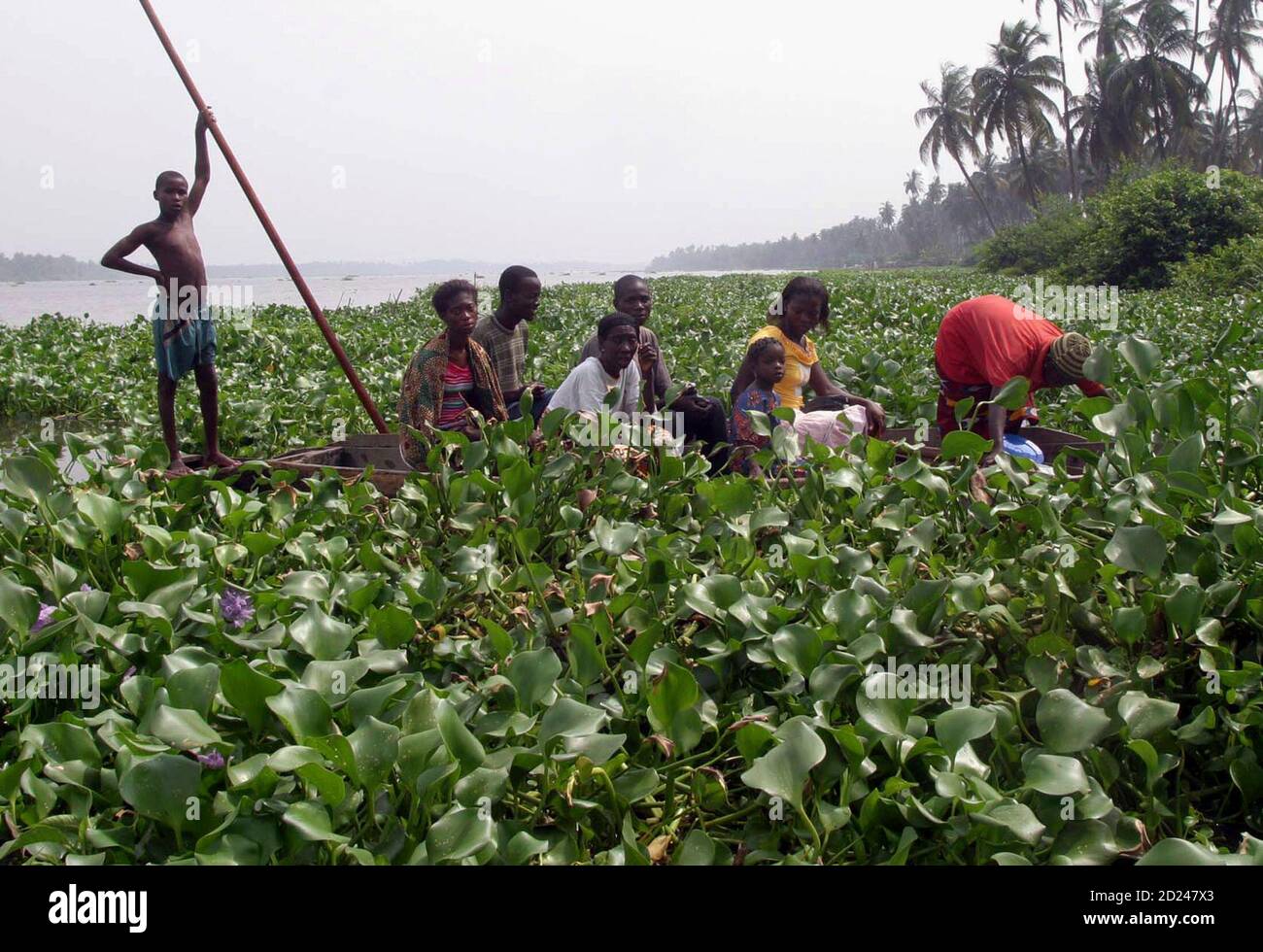 Nigeria Canoe High Resolution Stock Photography and Images Alamy