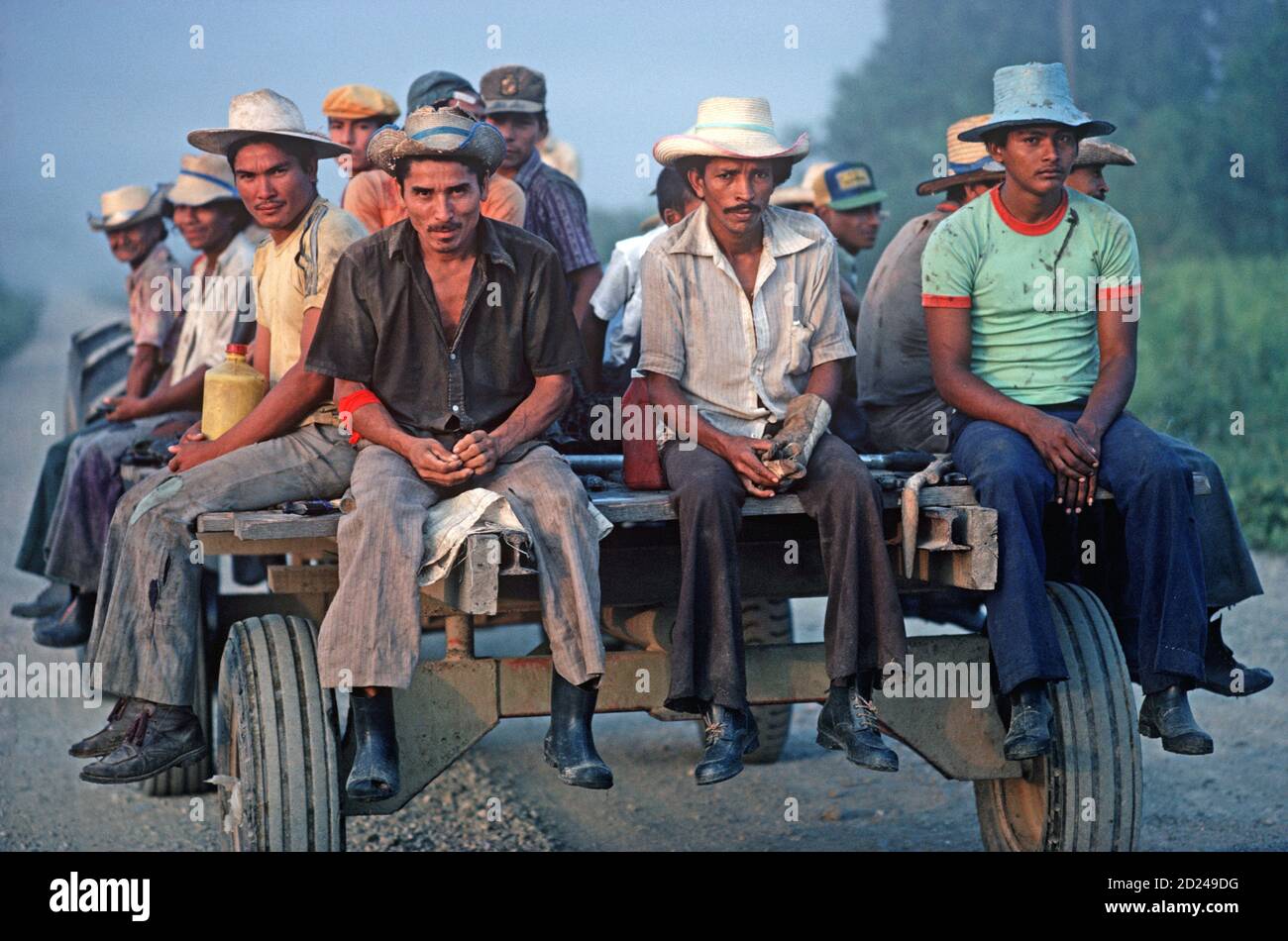 Banana plantation workers, Isletas, Honduras, Central America Stock