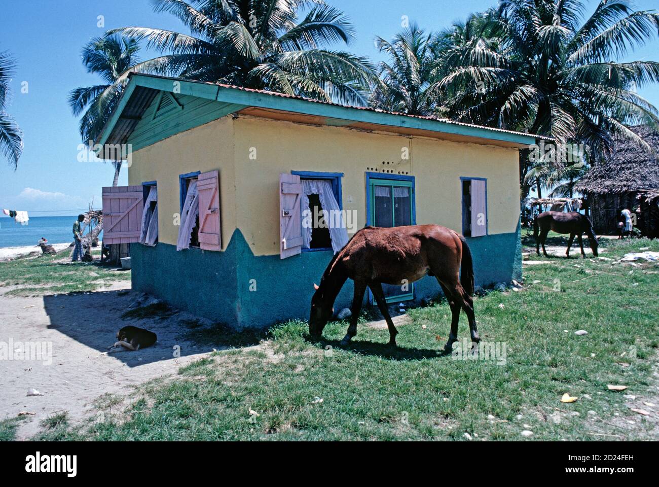 Miskito coast colourful house hi-res stock photography and images - Alamy