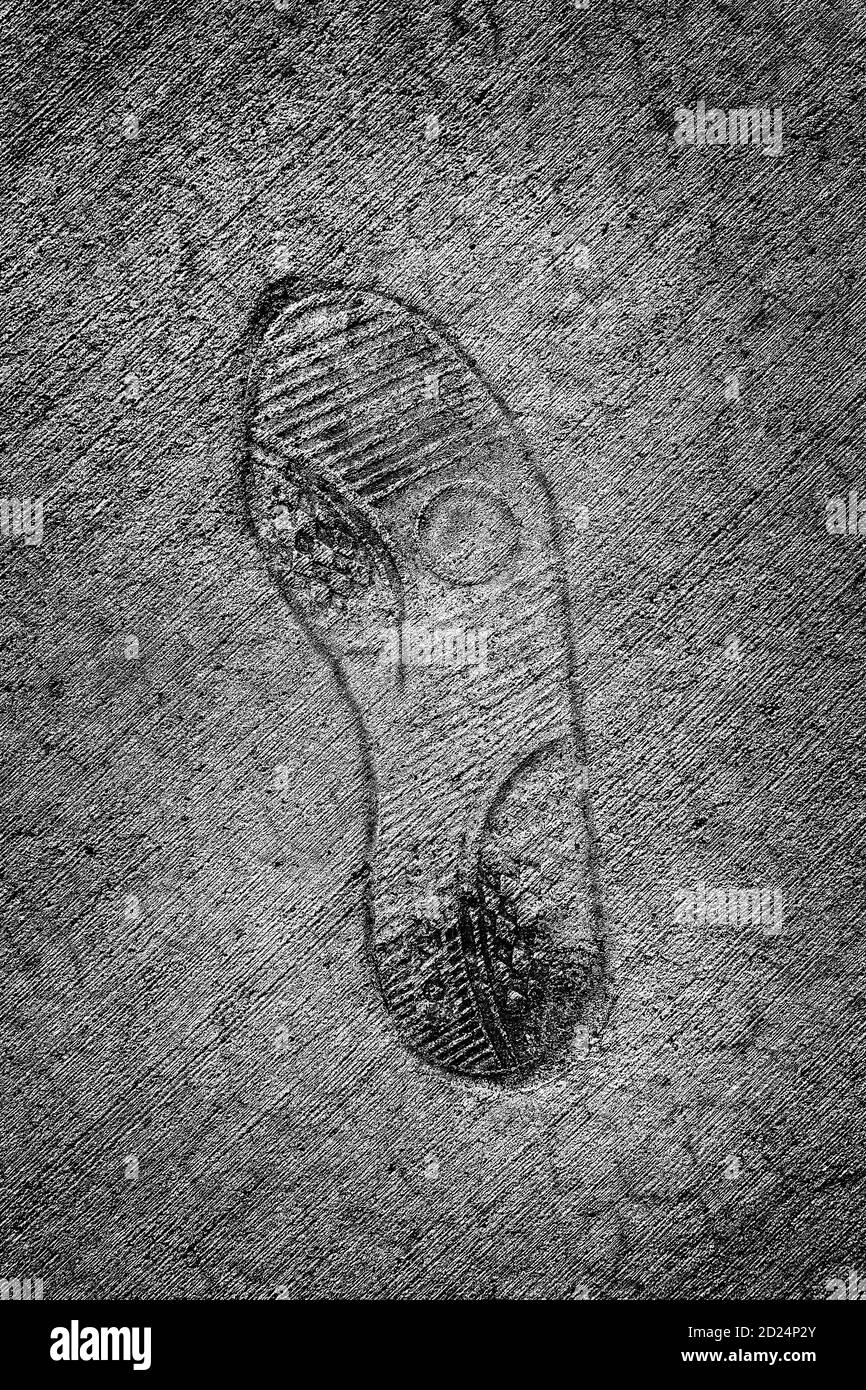 Footprint in cement walking on wet concrete texture Stock Photo Alamy