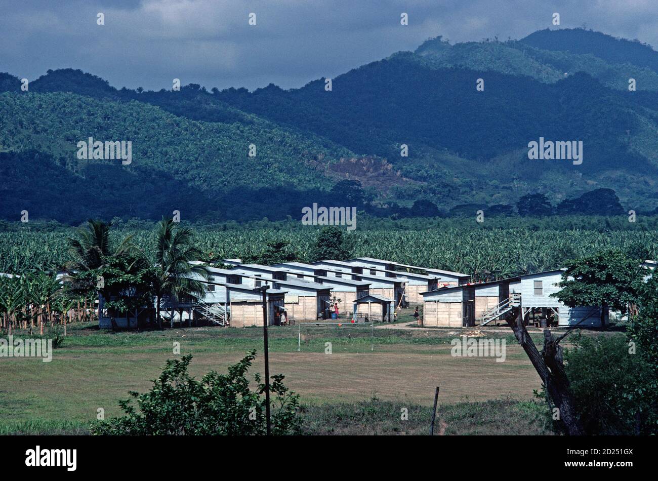 Banana plantation workers homes, Isletas banana plantation, Honduras
