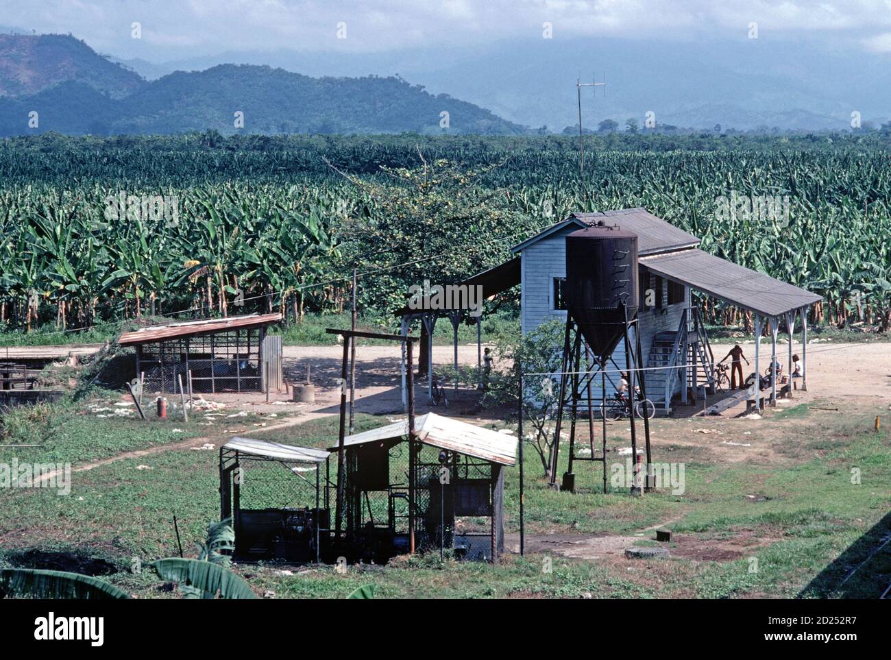 Banana plantation workers homes, Isletas banana plantation, Honduras
