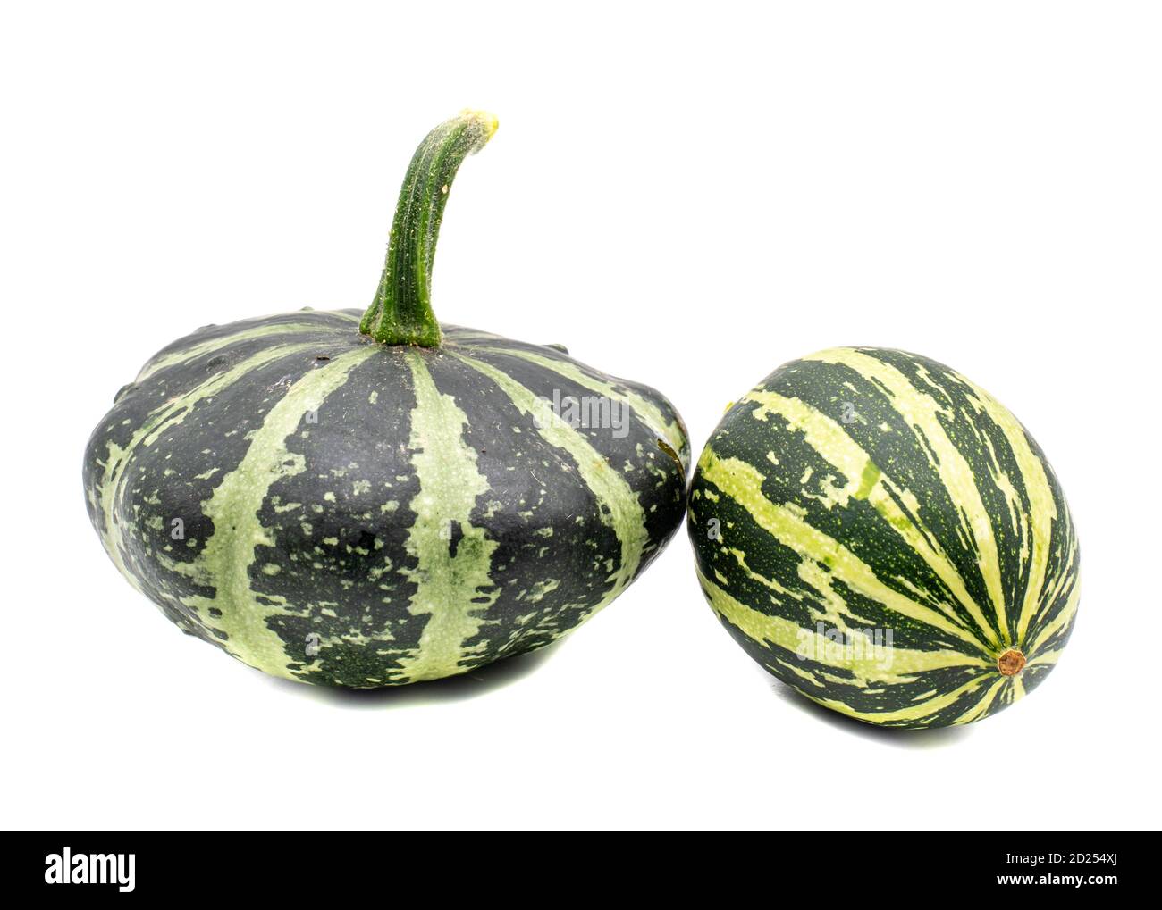 green pumpkins on white background Stock Photo