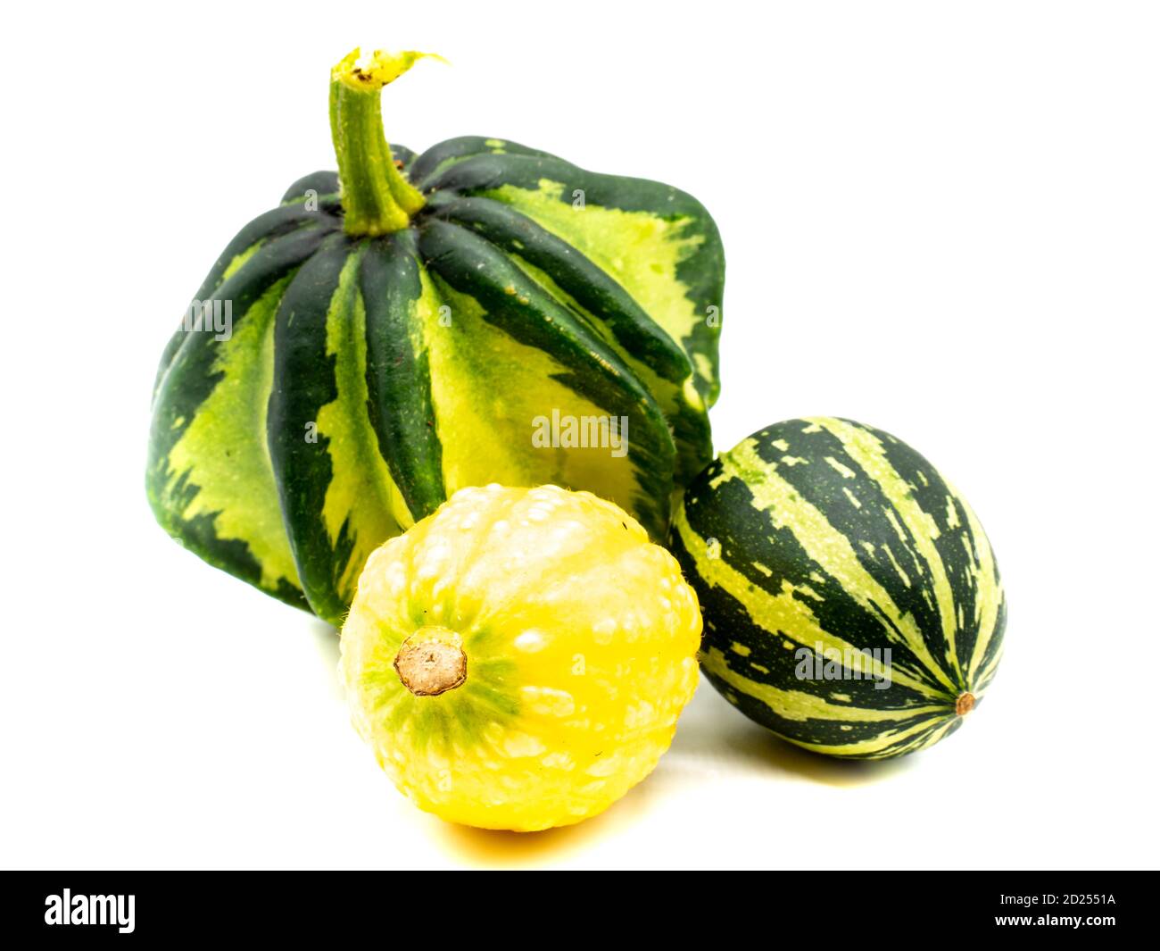 many ornamental pumpkins on white background Stock Photo