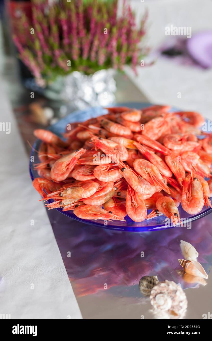 ULSTEINVIK, NORWAY - 2014 AUGUST 23. Cooked fresh shrimps in a bowl on the table with plant in the background. Stock Photo
