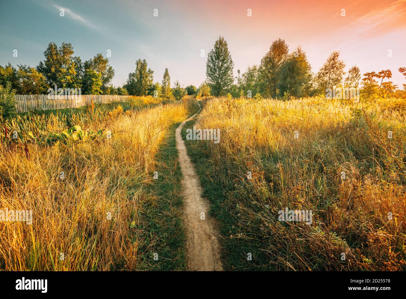 Landscape Of Rural Country Path Through Field With Dry Grass In Early ...