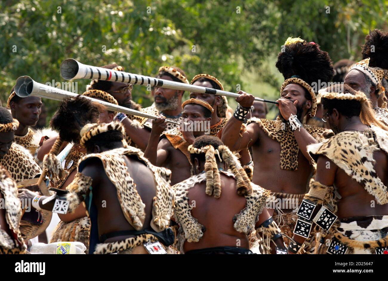 Zulu Warriors High Resolution Stock Photography and Images Alamy