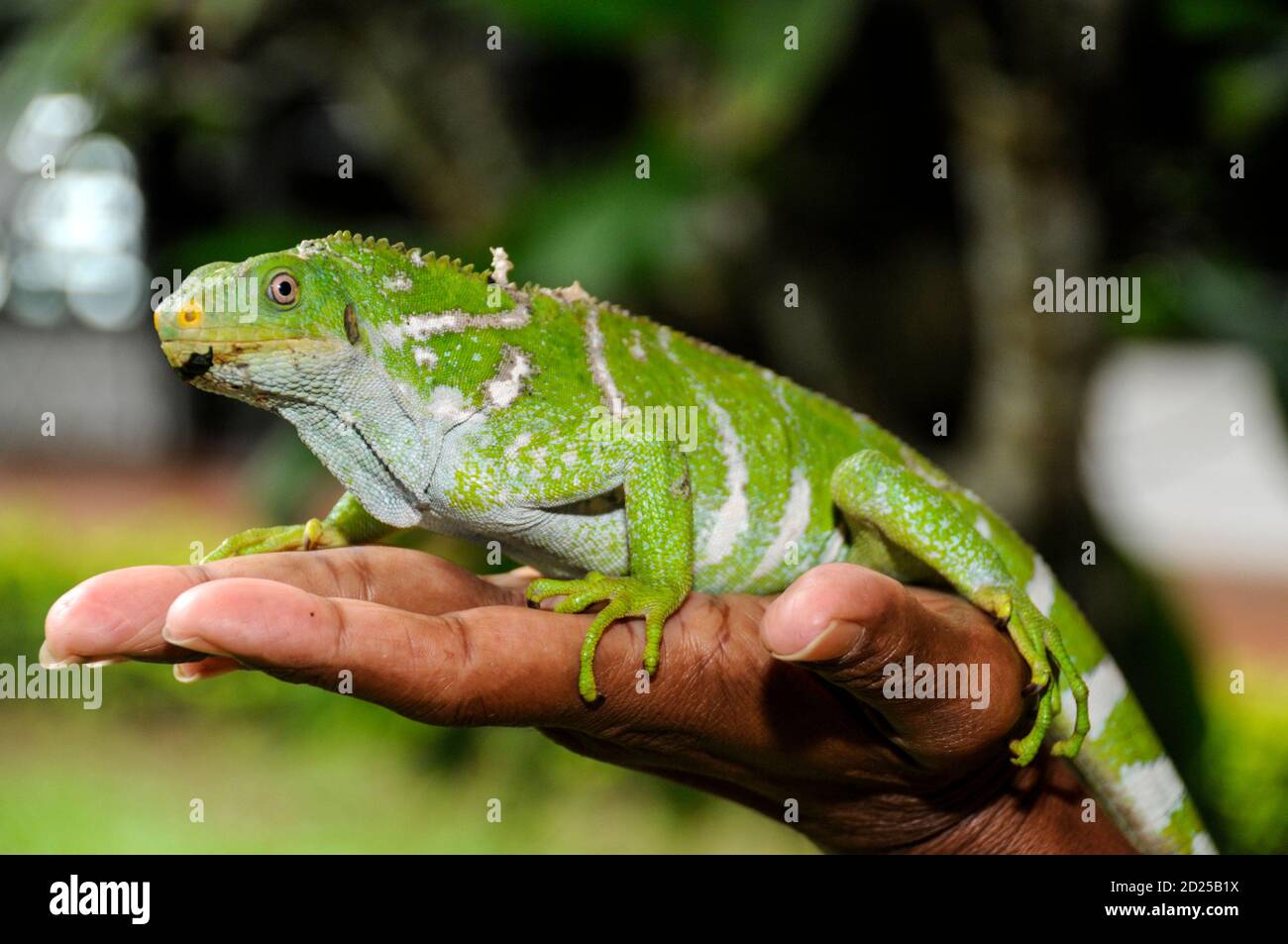 Gallery image with a fresh perspective