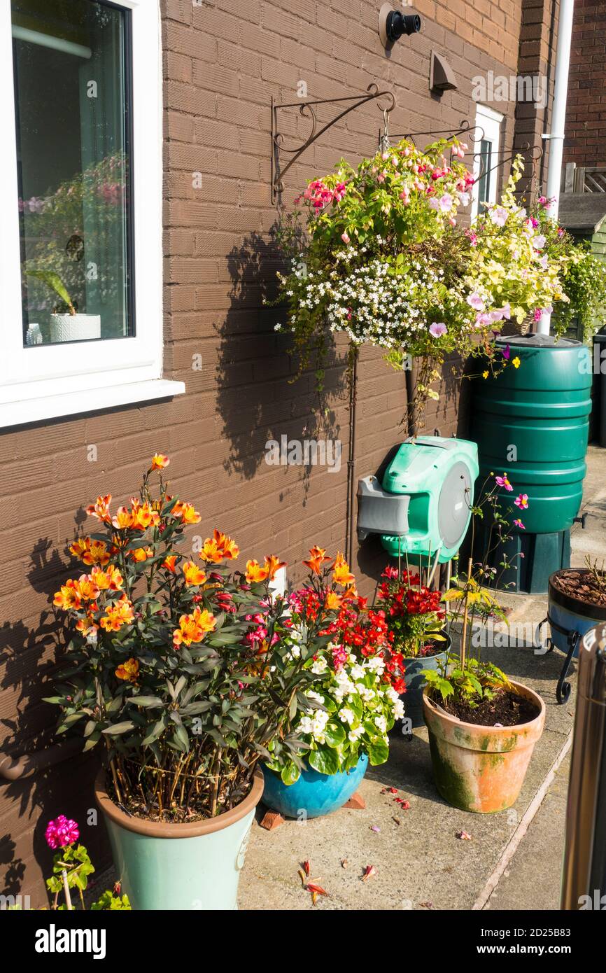 Plant Pots and Hanging Baskets on a south facing wall. UK Stock Photo