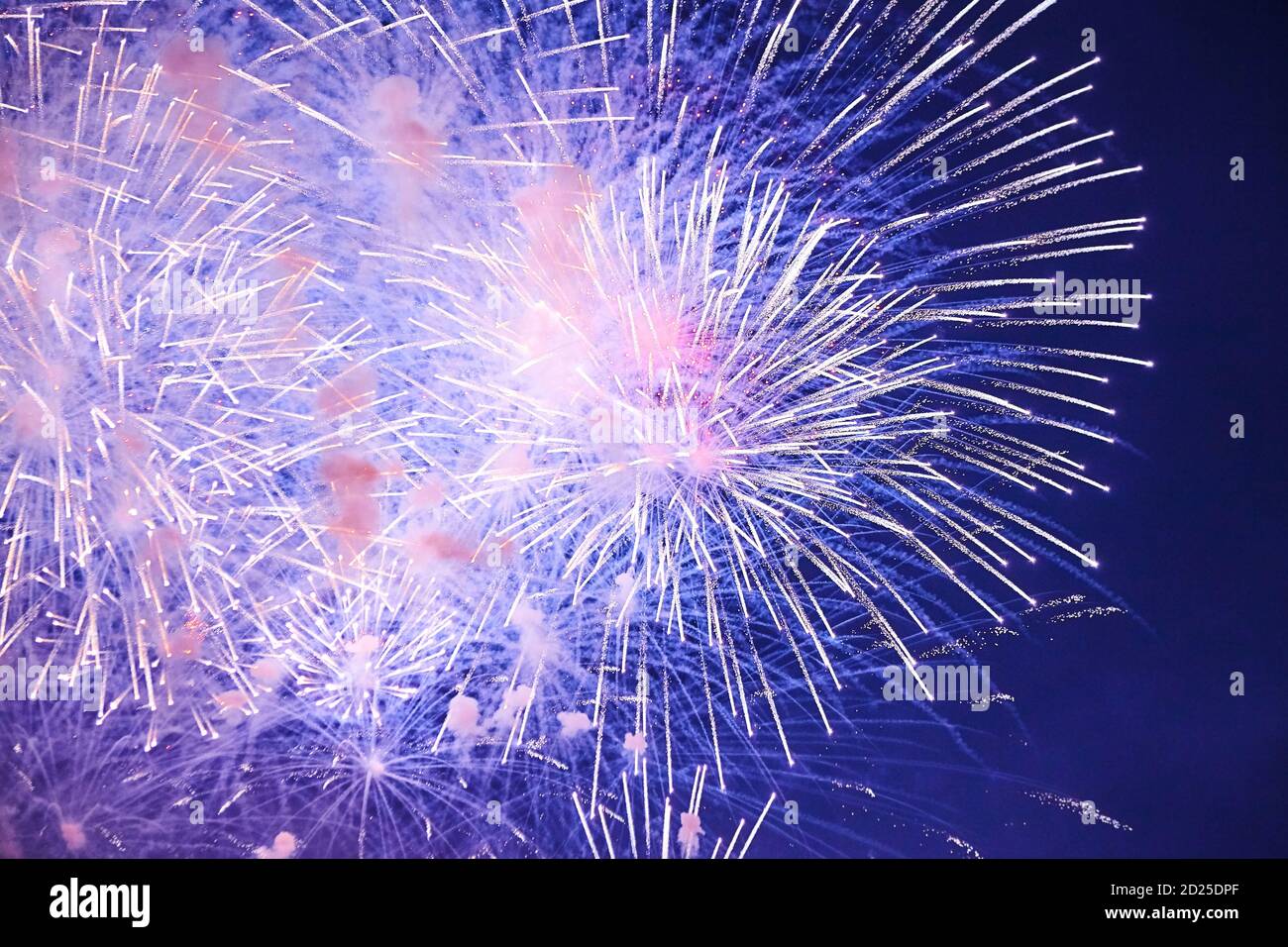 Colorful firework in a night sky Stock Photo