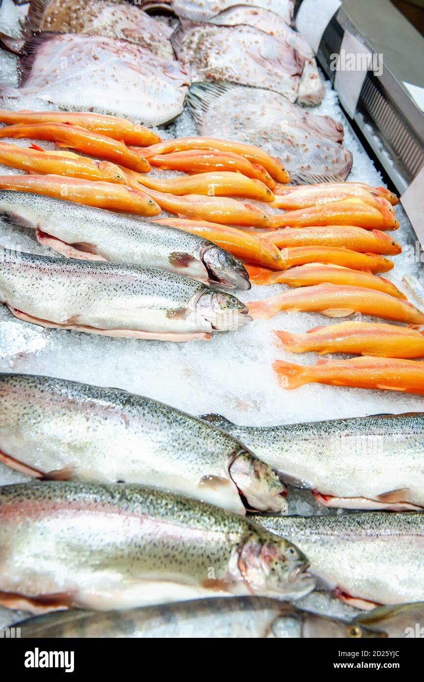 raw uncooked salmon, red fish lying in ice on a supermarket counter