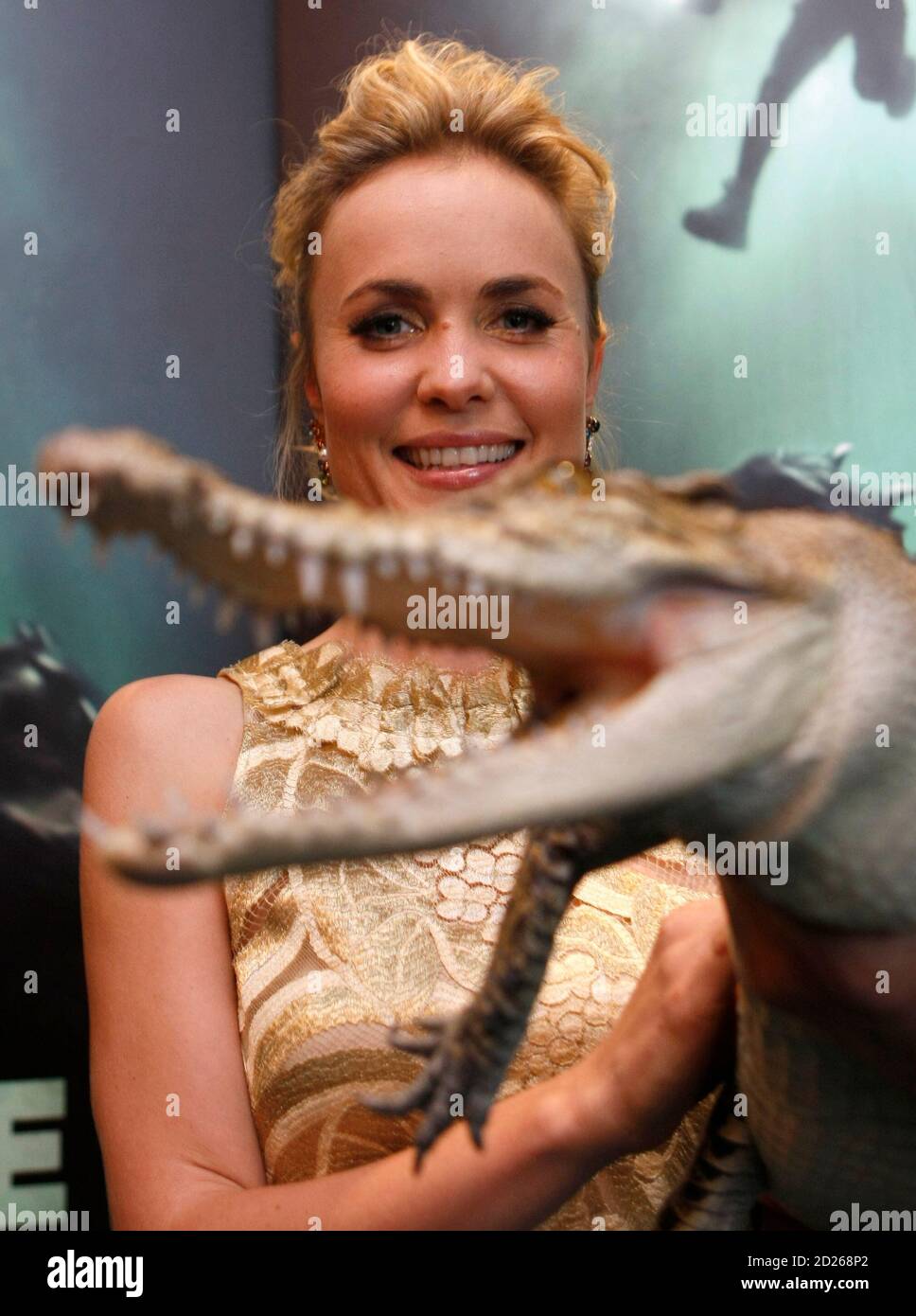 Rogue crocodile hi-res stock photography and images - Alamy