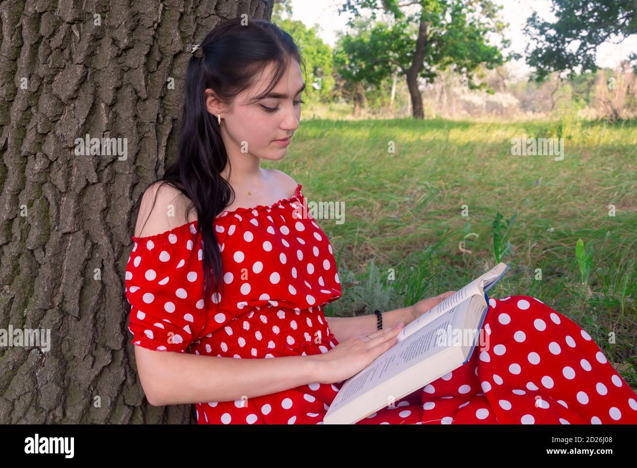 Young beautiful woman in red dress reads a book in the park. The lady with her back to the tree trunk in the summer outdoors spends her leisure time. Stock Photo