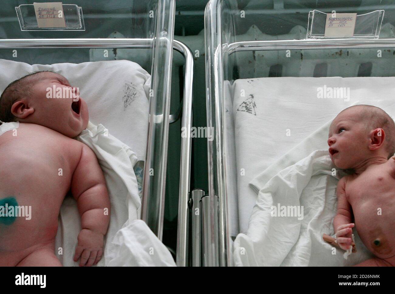 Baby girl Nadia (L), who weighed 7.75 kg (17.1 lbs) after birth, lies in a maternity ward in the Siberian city of Barnaul September 26, 2007. One Siberian mother has done more than her fair share to heal Russia's dire population decline. Tatyana Khalina shocked her husband by giving birth to a 7.75 kg (17.1 lbs) baby girl this month, her 12th child.  REUTERS/Andrey Kasprishin (RUSSIA) Stock Photo
