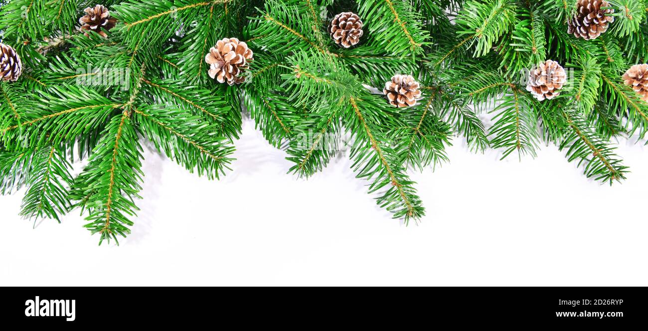 Christmas Fir Branches with Fir Cones isolated on white Background ...