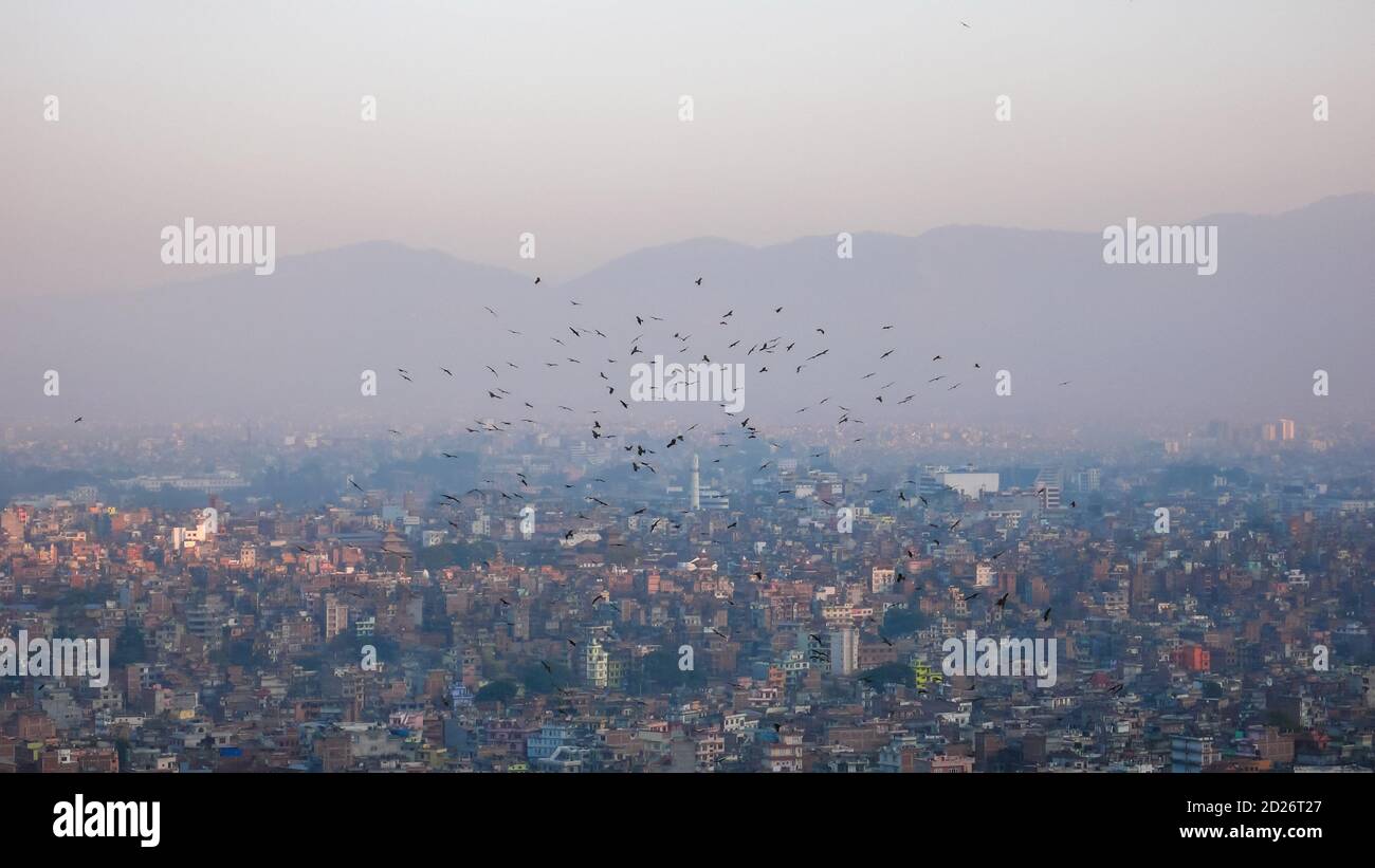 Kathmandu in Evening light with circling birds Stock Photo