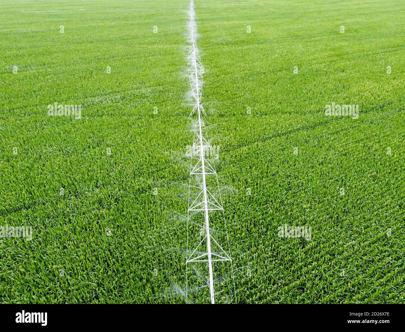 Irrigation system over corn field, top view Stock Photo