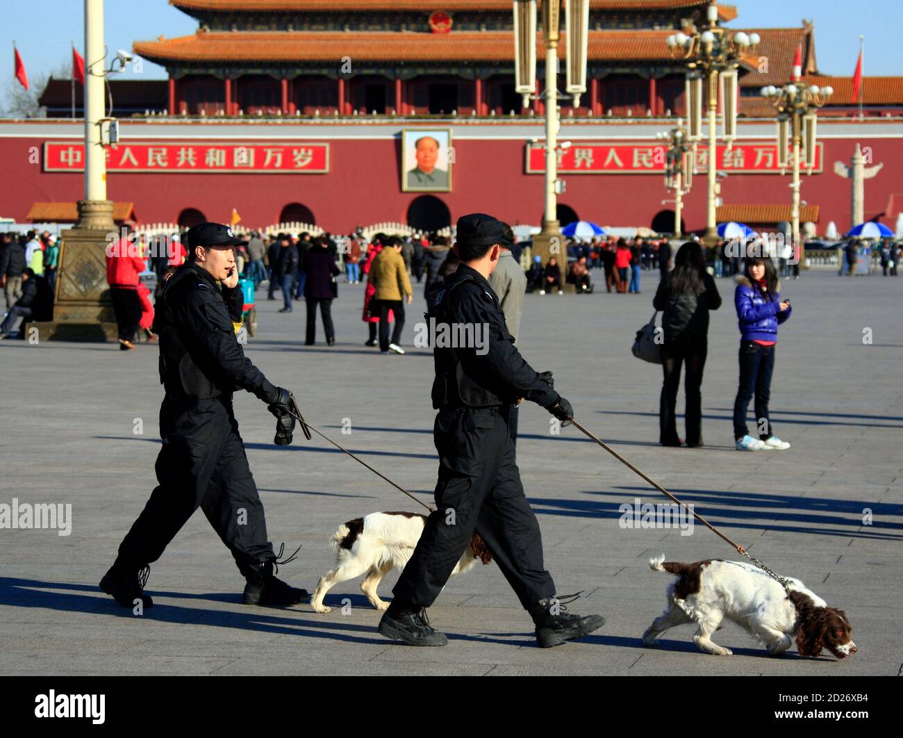 寵物共和國 老麥大盜 家陣老笠 攞晒d薯條 出黎 網上圖片 寵物共和國 寵物身份證 Facebook