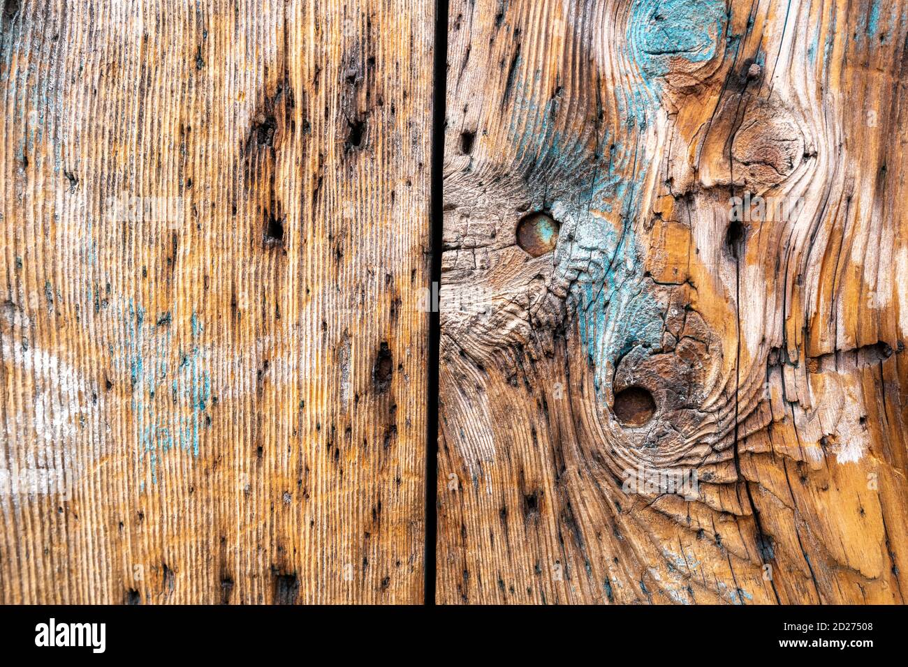 Hardwood tree cutting trunk backgrounds, natural cut stump wooden ...