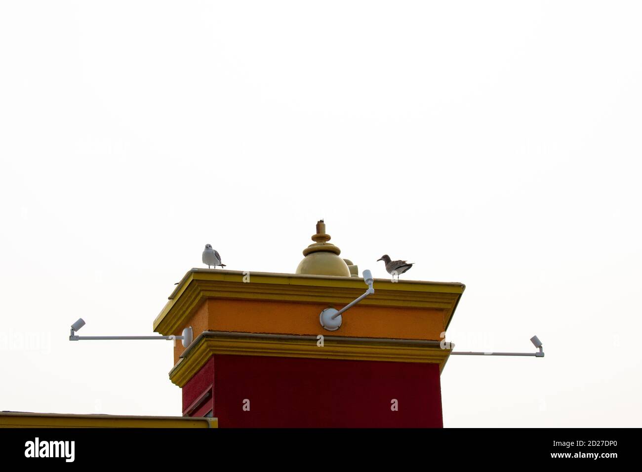 A Colorful Tower On a Building With Two Seagulls Sitting on it Stock Photo