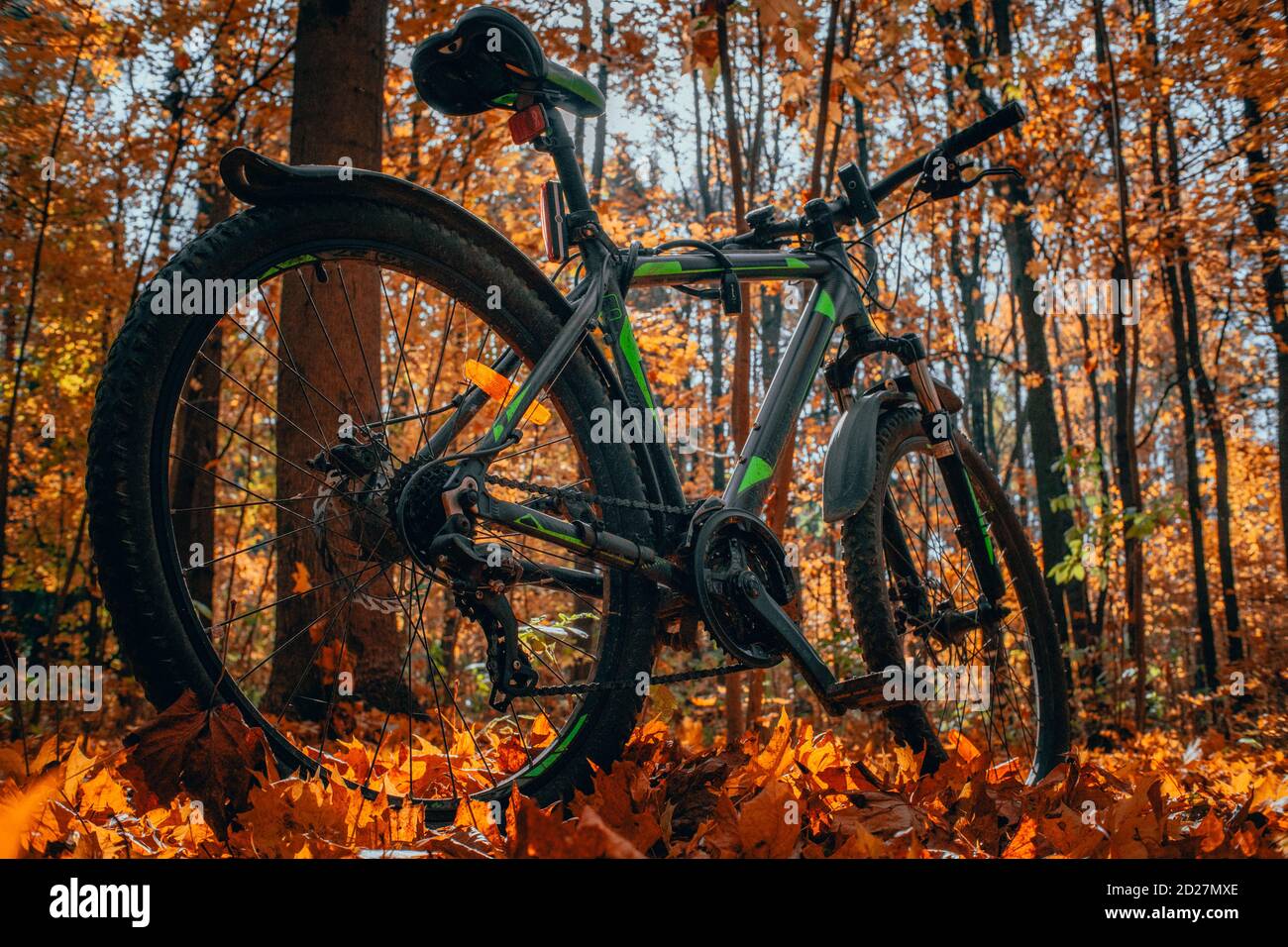 Close up mountain bike hi-res stock photography and images - Alamy