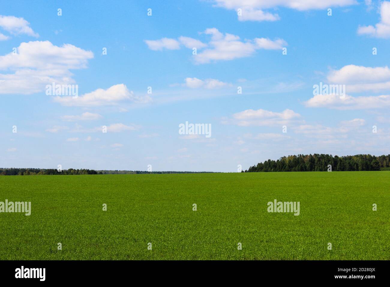 Landscape overlooking blue spring sky with clouds and green rural ...