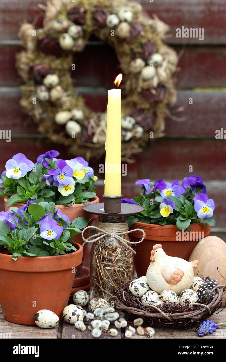 rustic easter decoration with candle, easter chicken and purple easter flowers Stock Photo