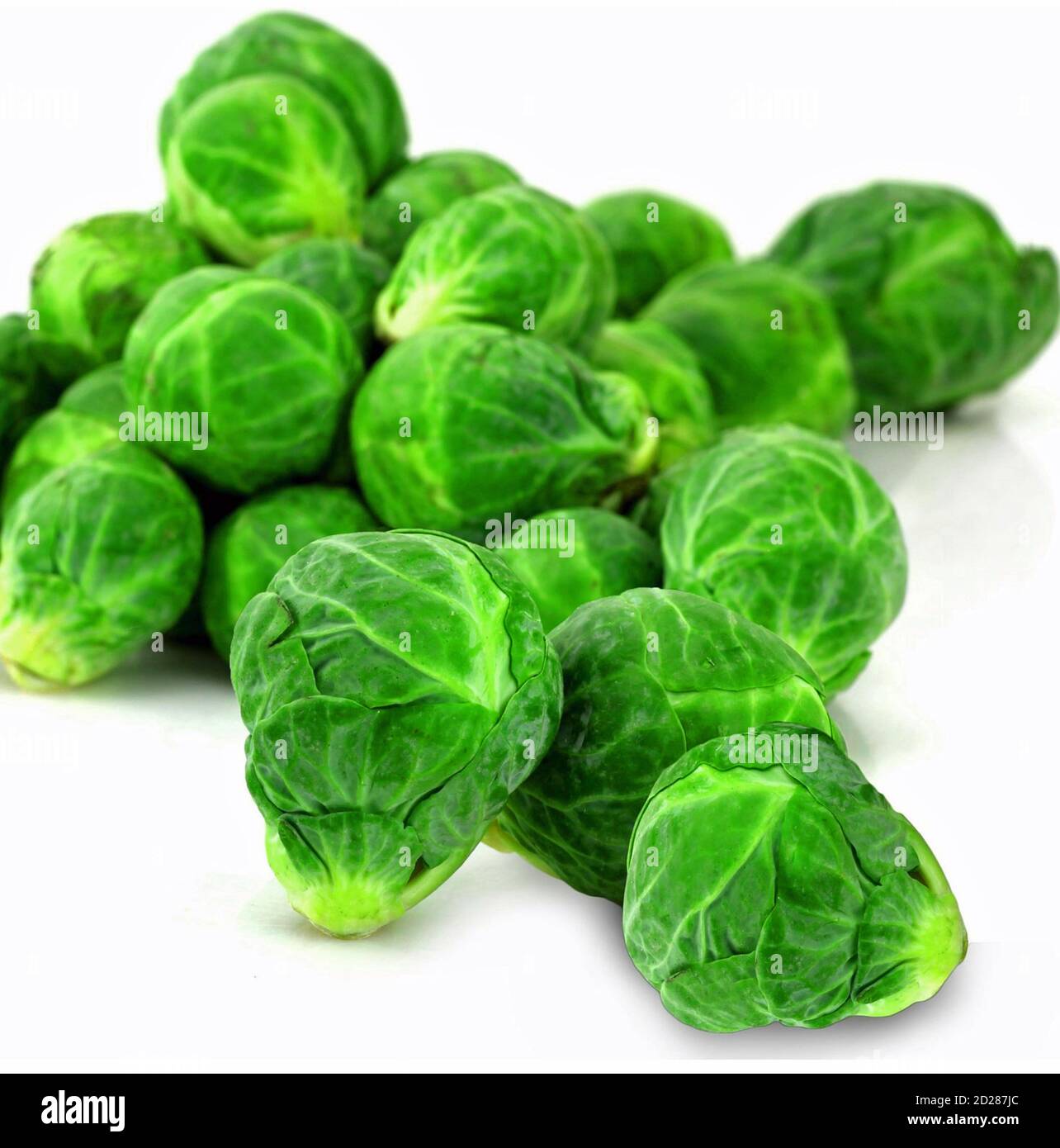 Chou De Bruxelles High Resolution Stock Photography And Images Alamy