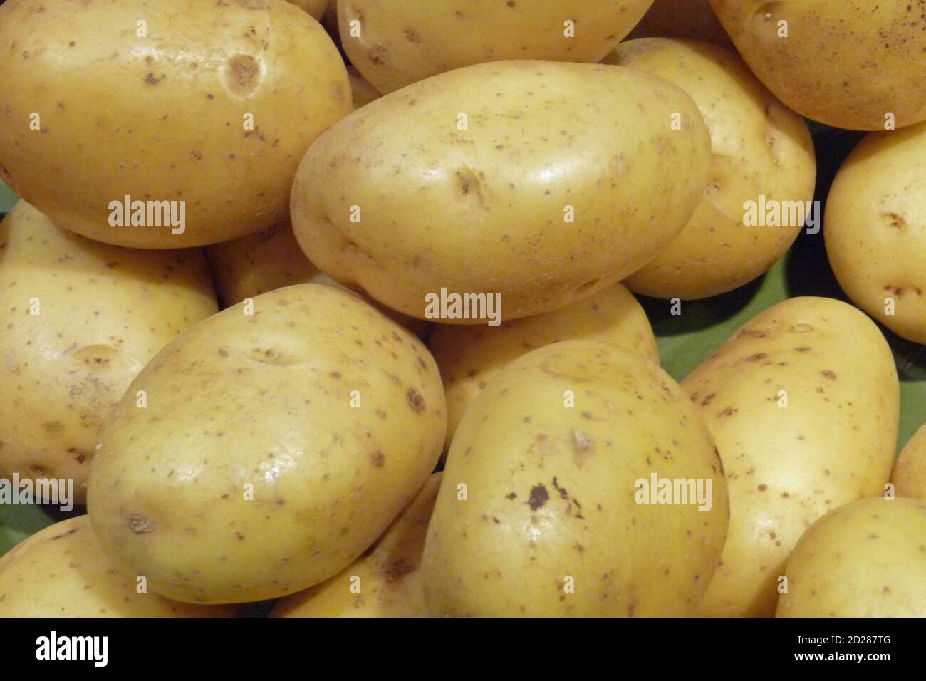 Pommes De Terre High Resolution Stock Photography And Images Alamy Pommes De Terre High Resolution Stock Photography And Images Alamy