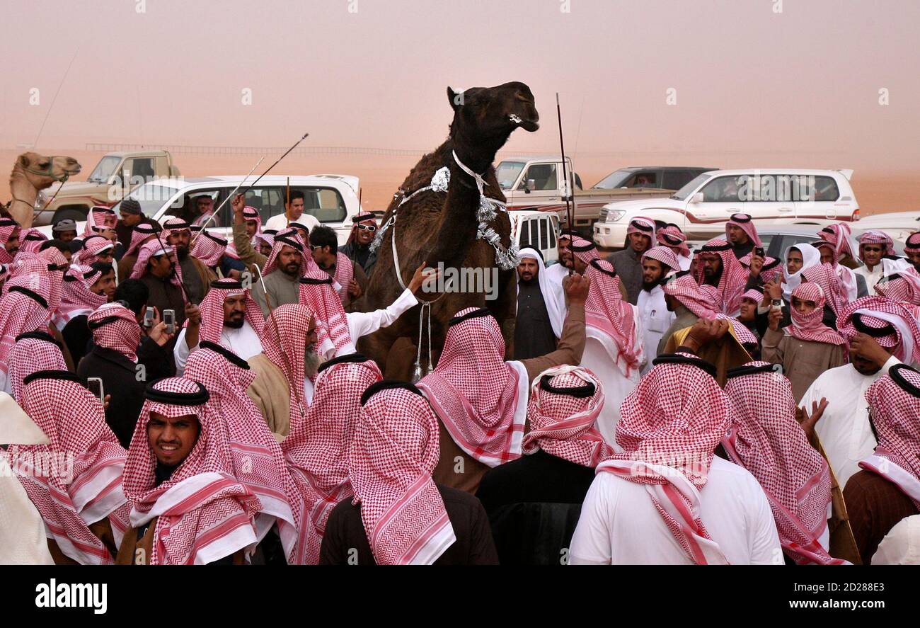 Page 2 Ibl High Resolution Stock Photography And Images Alamy