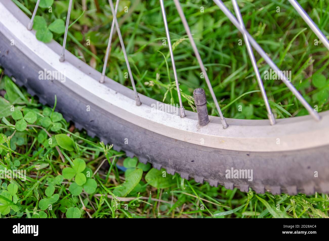 Details of the bicycle wheel. Nipple on the wheel closeup in the grass