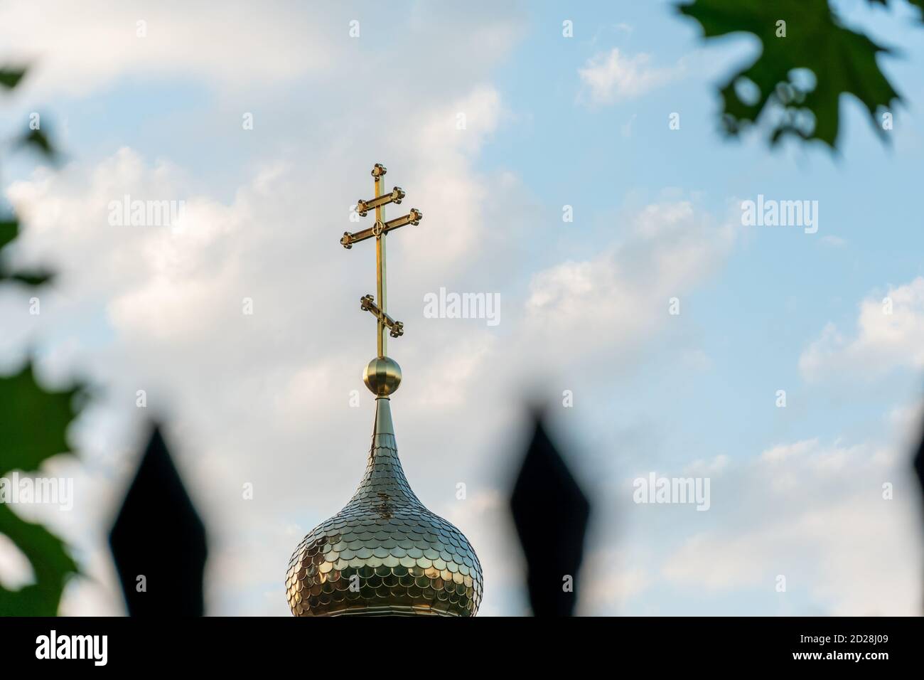 Dome of the Orthodox Church with a cross close-up through birch ...