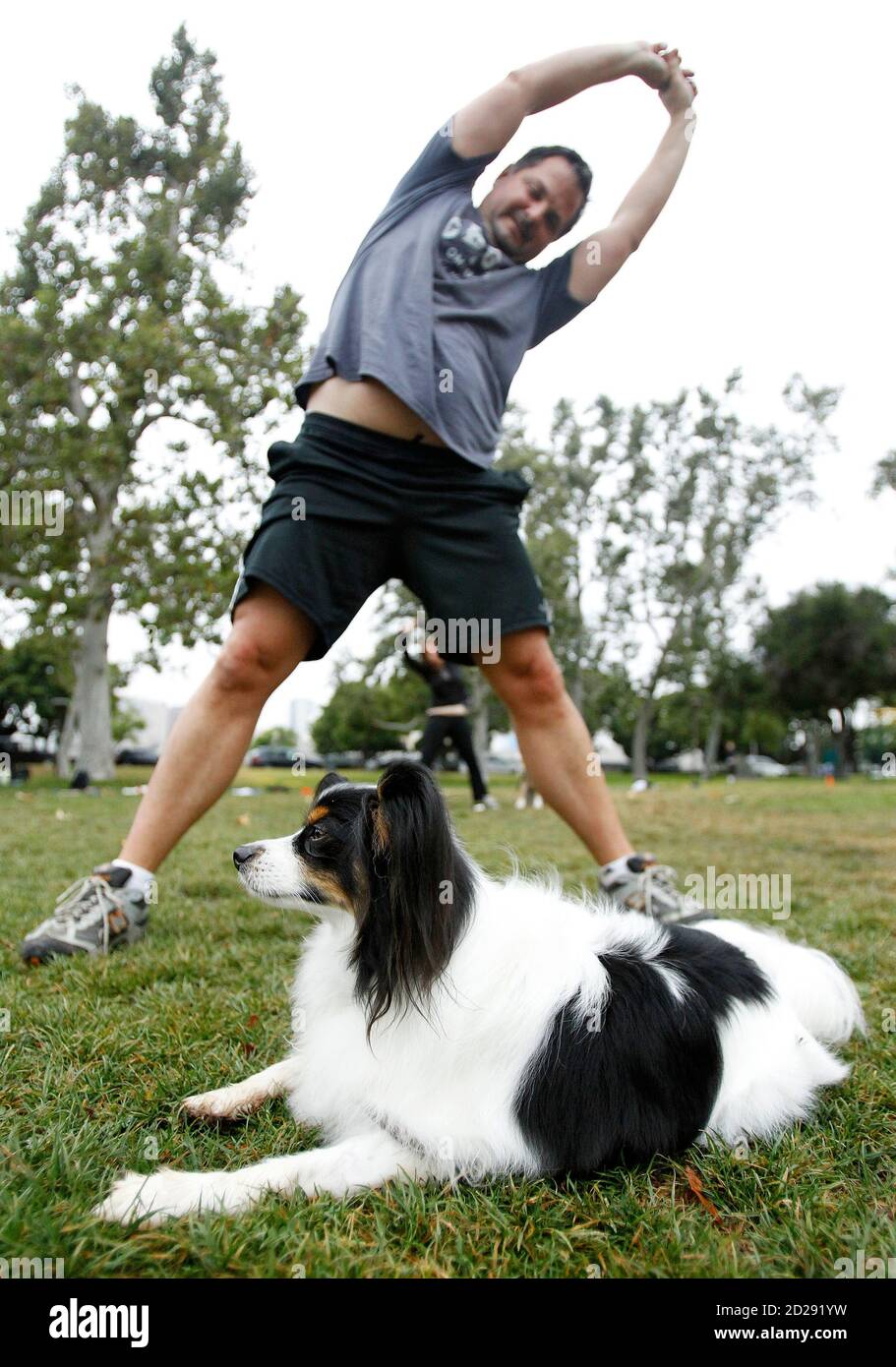doggy bootcamp doggy bootcamp