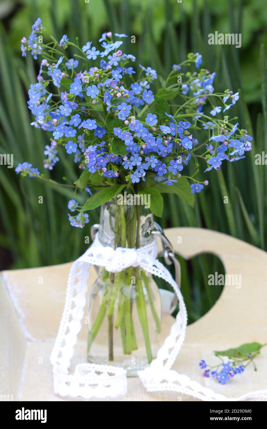 bouquet of creeping forget me not flowers in glass vase Stock Photo