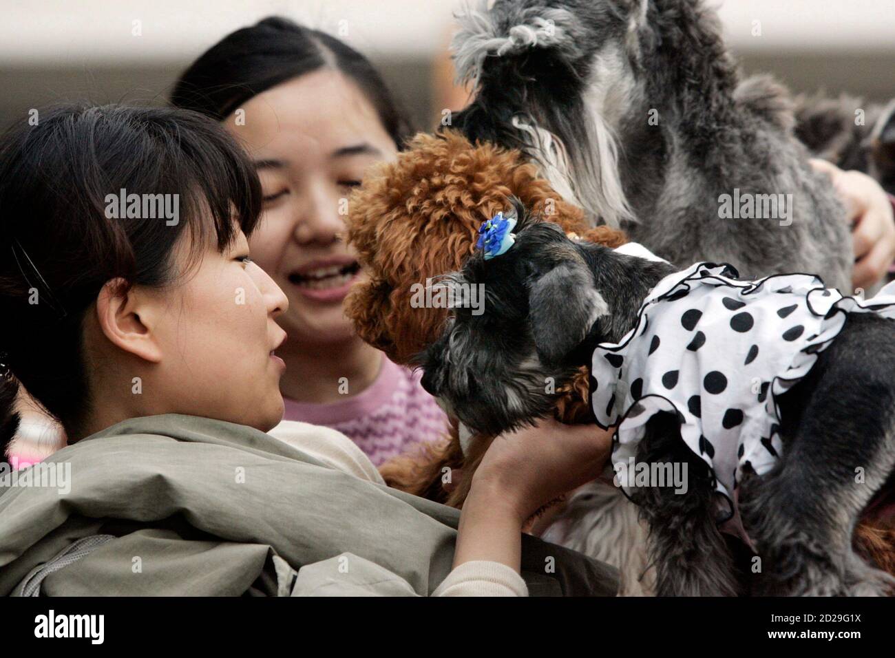 which dog breeds are banned in china