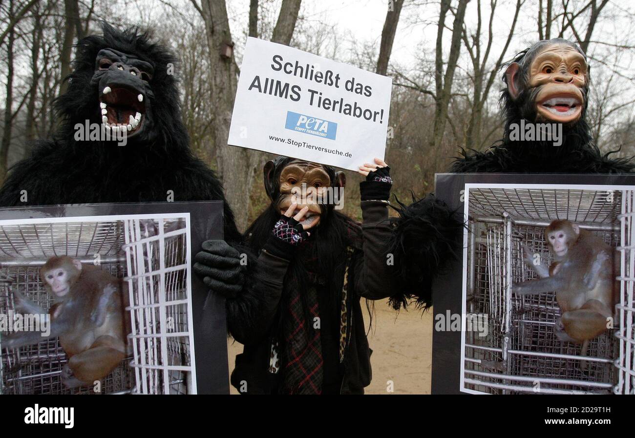Peta animal rights banner hi-res stock photography and images - Alamy