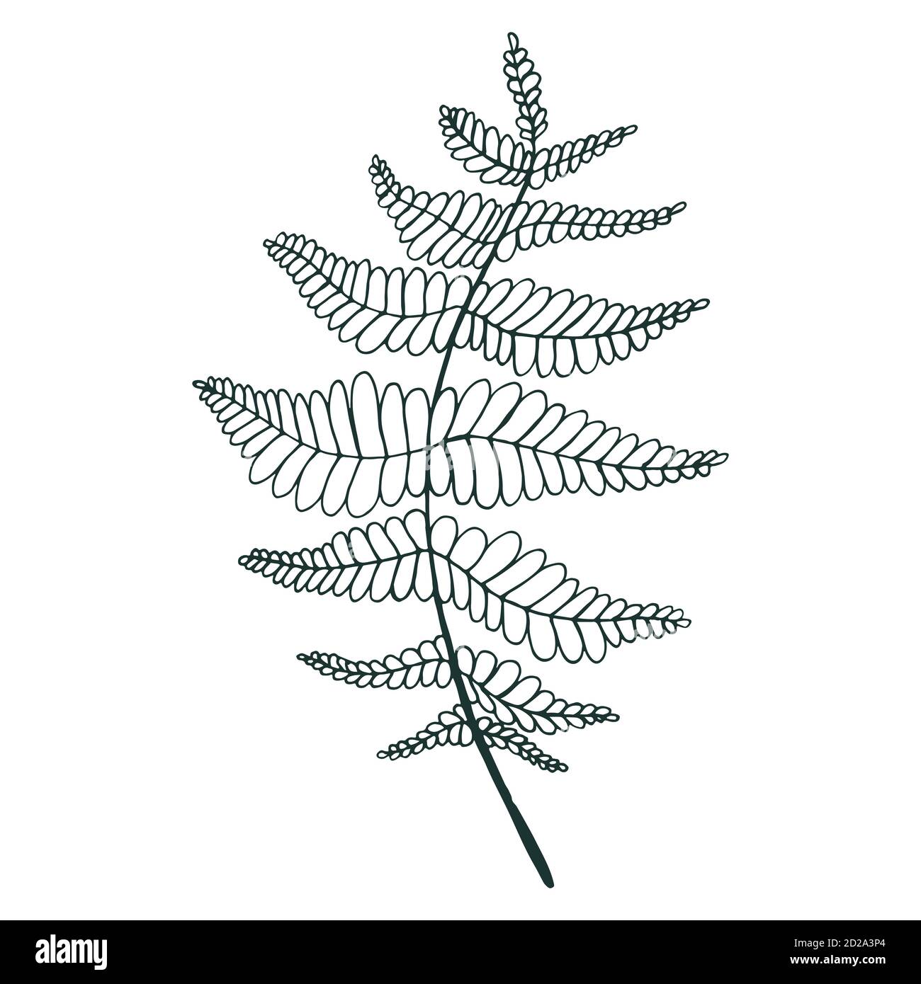 76 Coloring Pages Leaf  HD