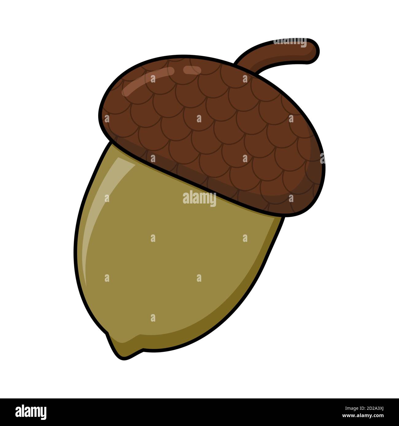 Oak acorn in green color cartoon isolated on white. Autumn symbol, design element. Illustration of single oak tree fruits cap. Autumnal clip art, seas Stock Vector
