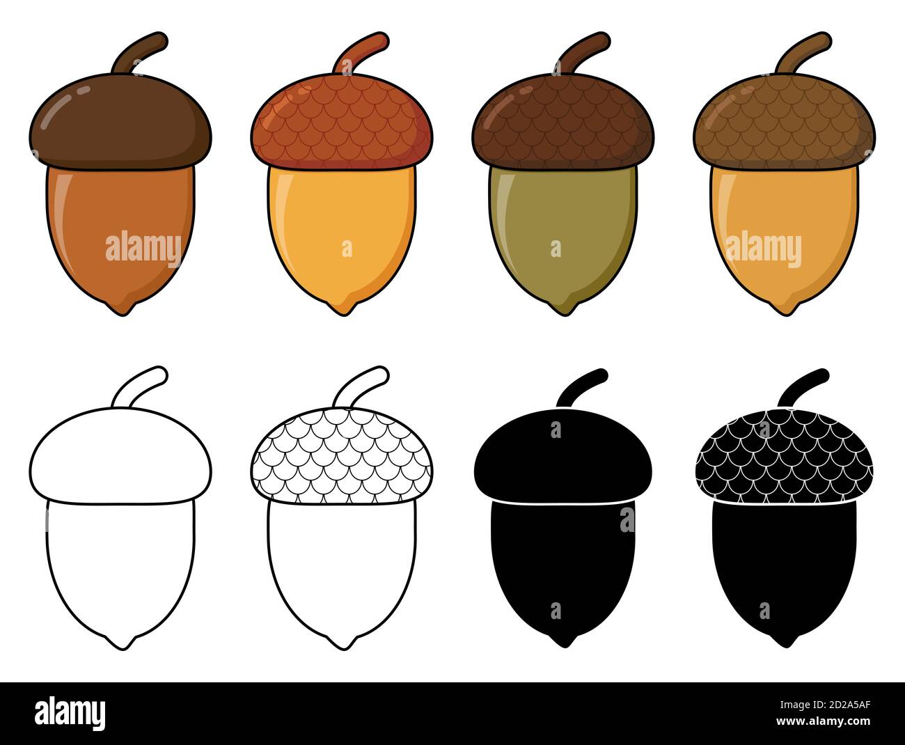 Acorn autumn drawing eps10 set. Oak nut cartoon illustration isolated on white.  Autumnal clip art with  oak tree fruits with cap. Oak acorns with she Stock Vector