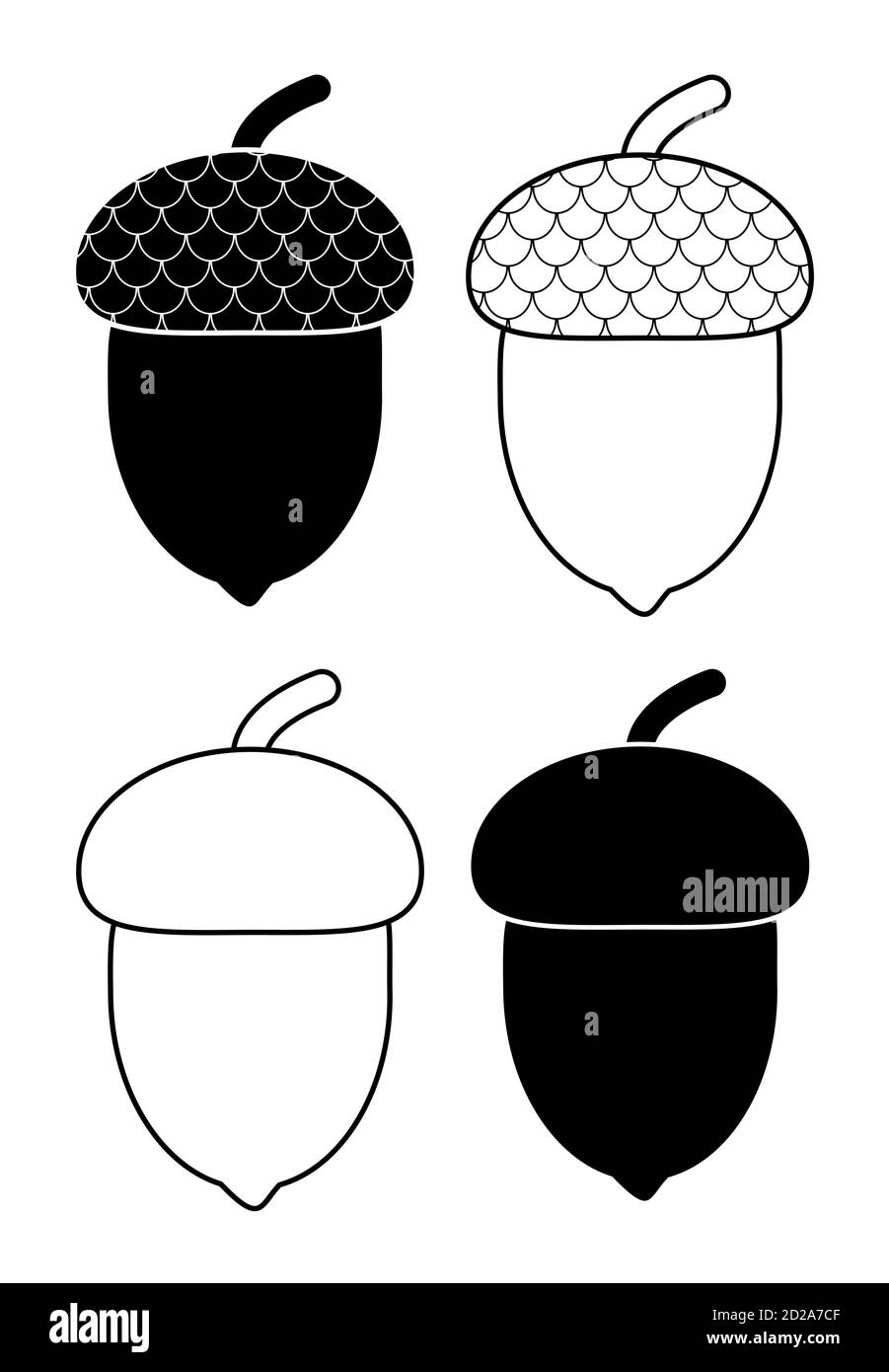 Acorn outlined and silhouetted autumnal design element set isolated on white. Illustrationof oak tree fruits with caps.  Black and white oak acorns wi Stock Vector