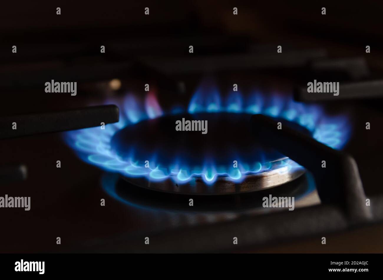 blue gas flame close up on the gas stove Stock Photo Alamy
