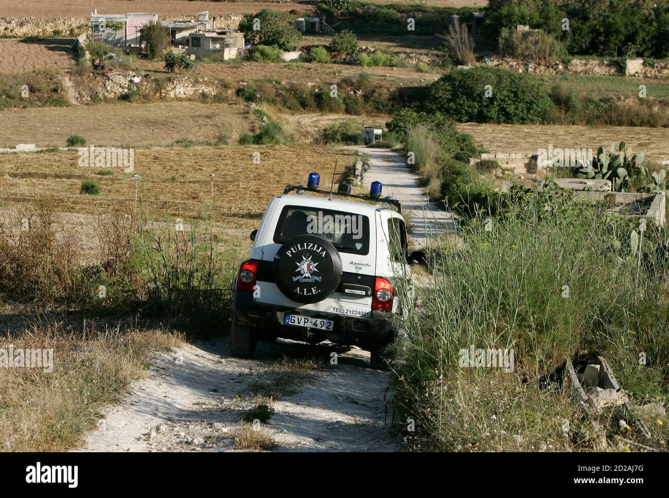 Illegal crime birds hires stock photography and images Alamy