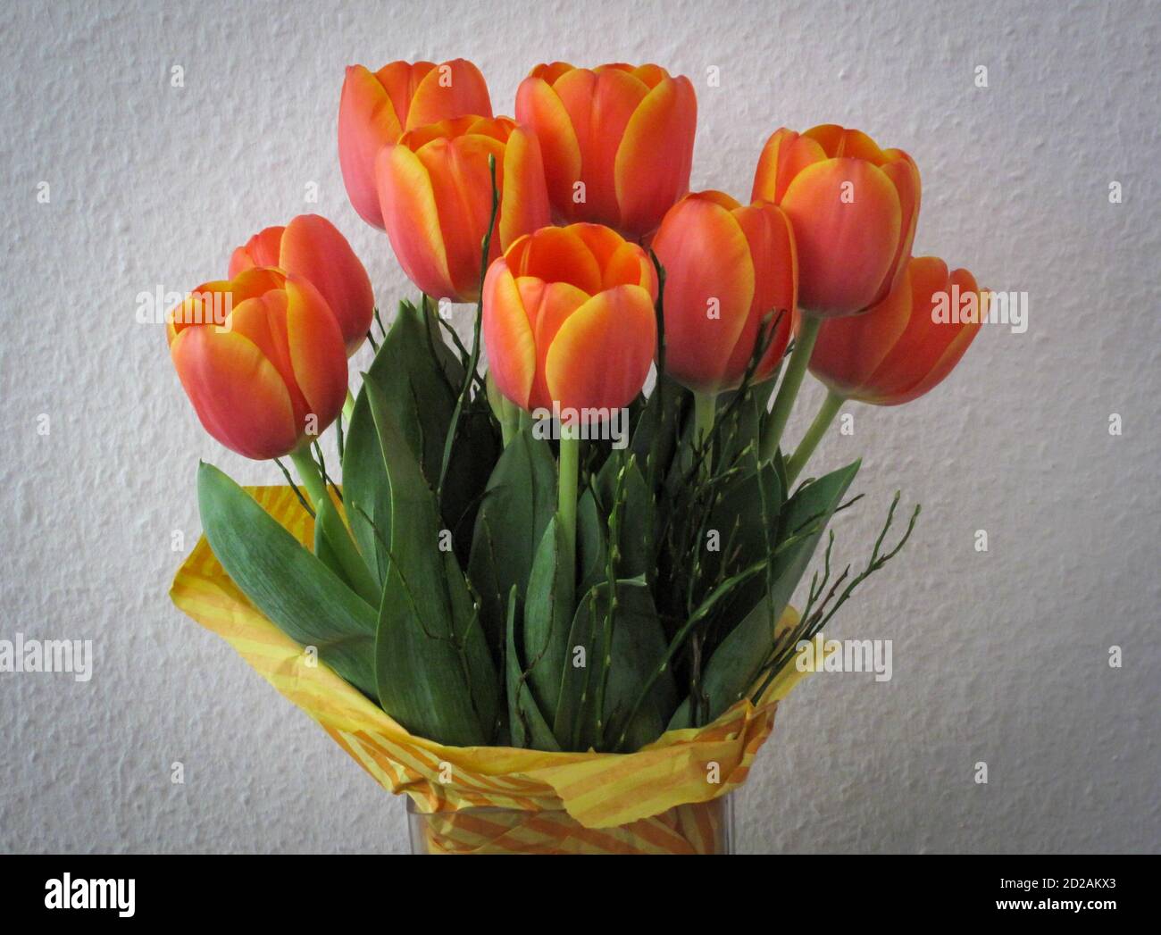 TallantImages Flower, Flowers, Altona Stock Photo Alamy