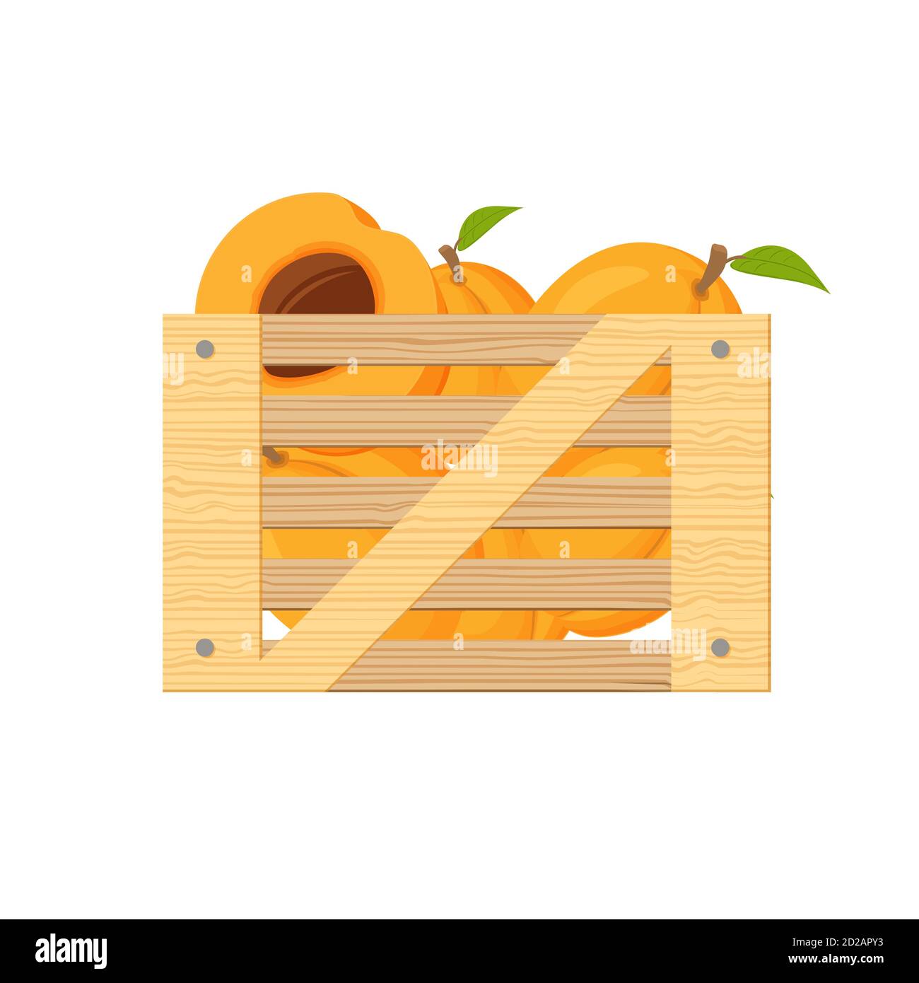 Wooden box with apricot . Harvesting fruit. Flat illustration vector. Stock Vector