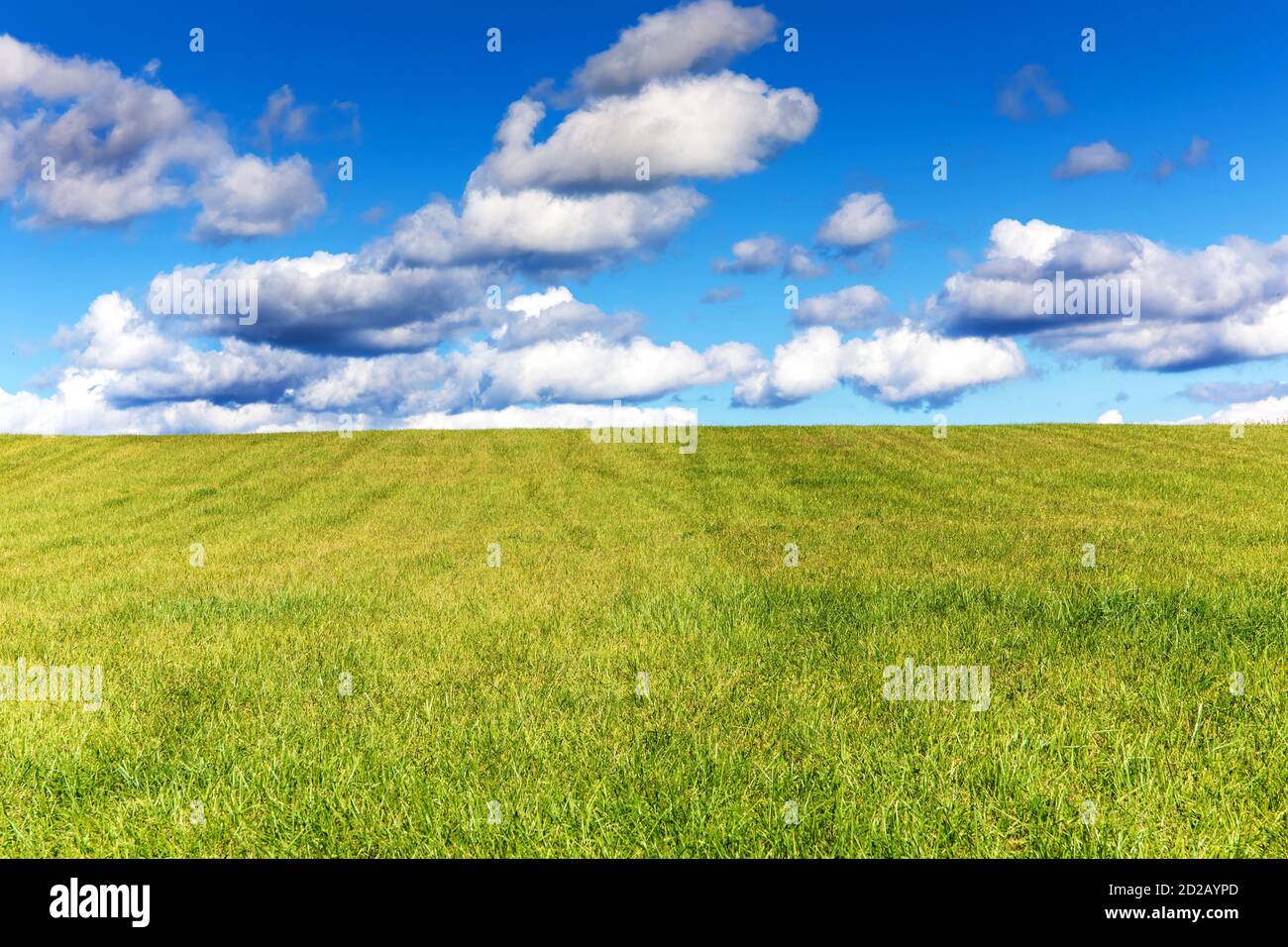Image of green grass field and bright blue sky in the Czech Republic Agricultural landscape Quiet place Sunny day Stock Photo