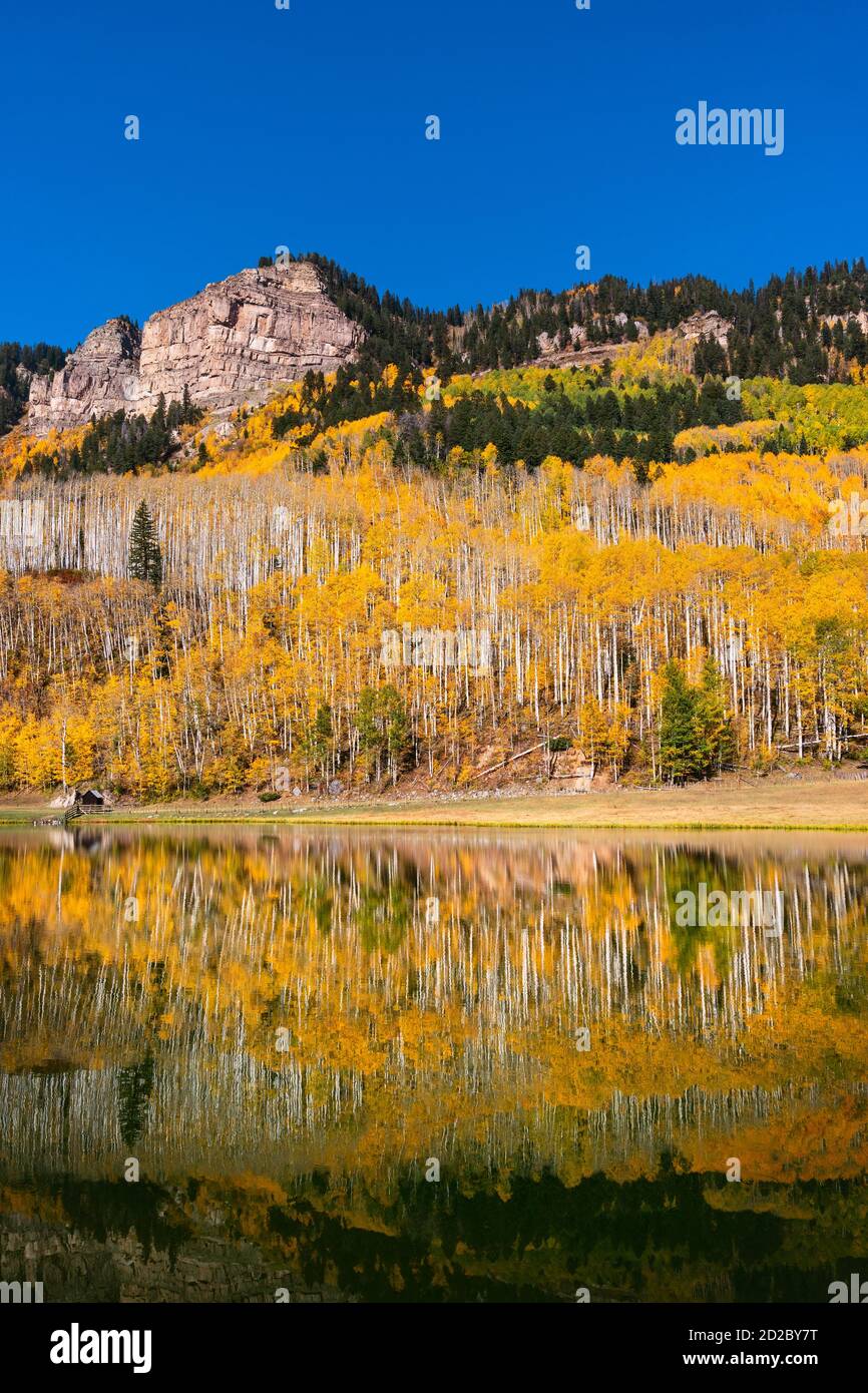 Aspen trees and scenic fall landscape reflecting in a still lake near Durango, Colorado, USA Stock Photo