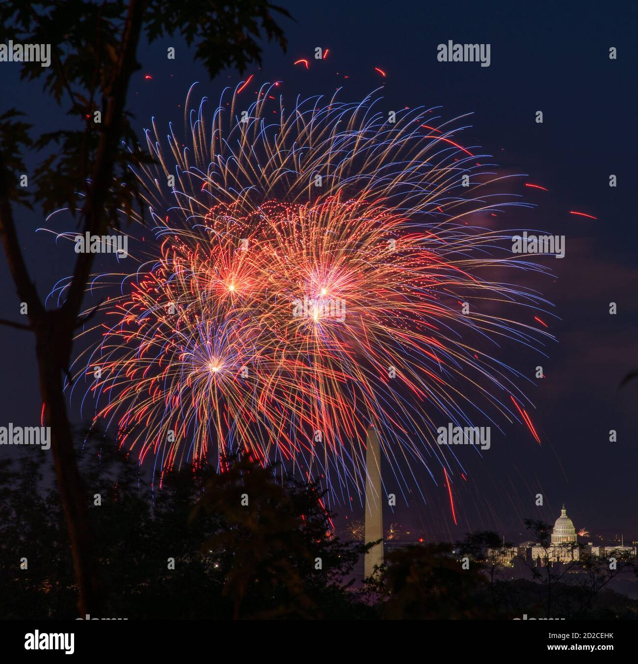 Fort Myers Fireworks 2025 Adara Annnora