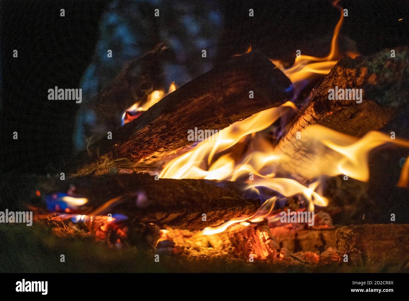 Bonfire closeup in the dark. Burning firewood in a fire closeup Stock ...