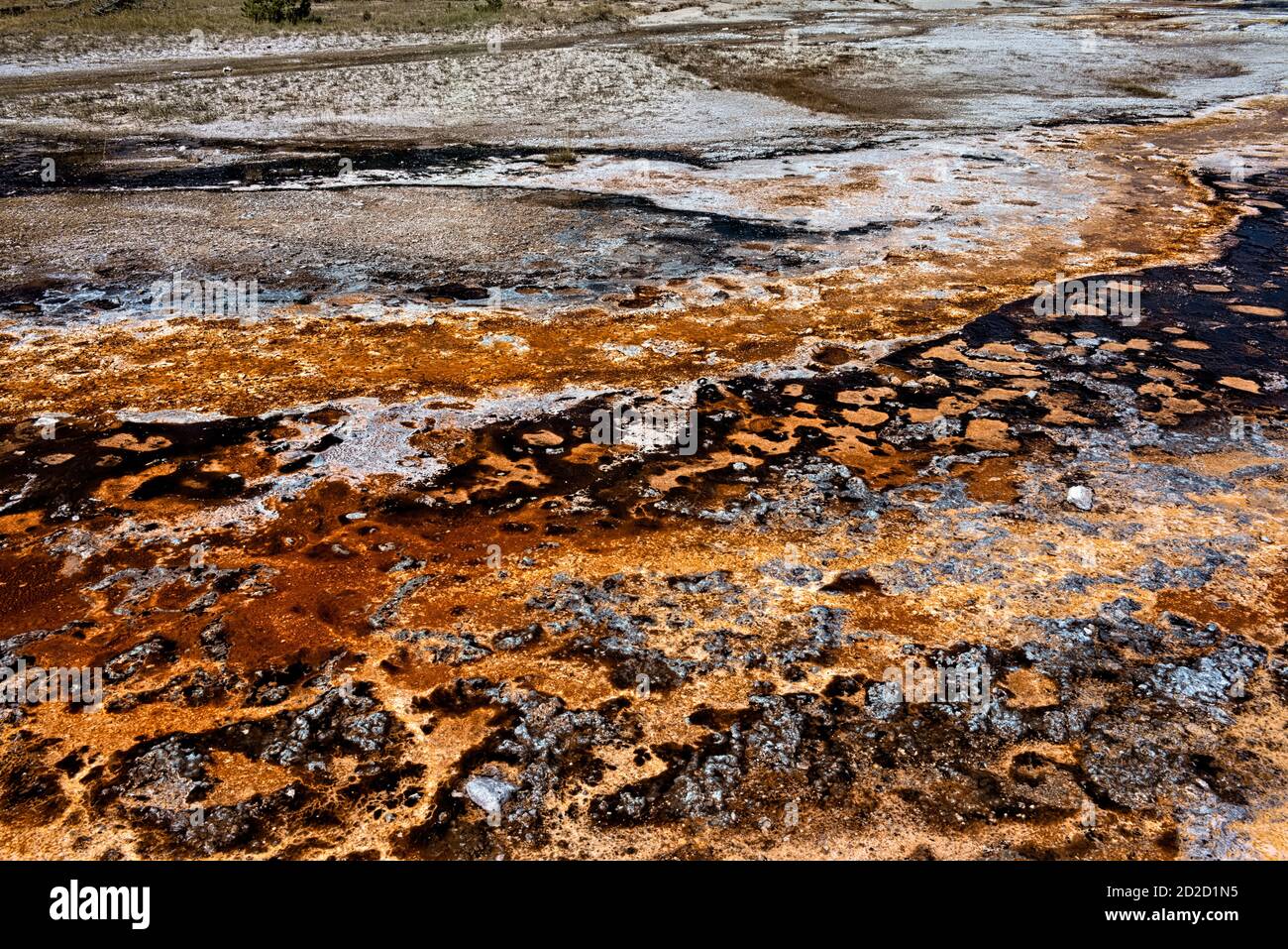 Bacterial mats, Upper Geyser Basin, Yellowstone National Park, Wyoming, USA Stock Photo
