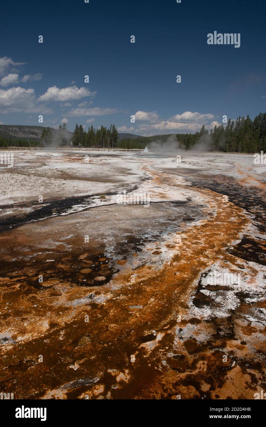 Bacterial mats, Upper Geyser Basin, Yellowstone National Park, Wyoming, USA Stock Photo